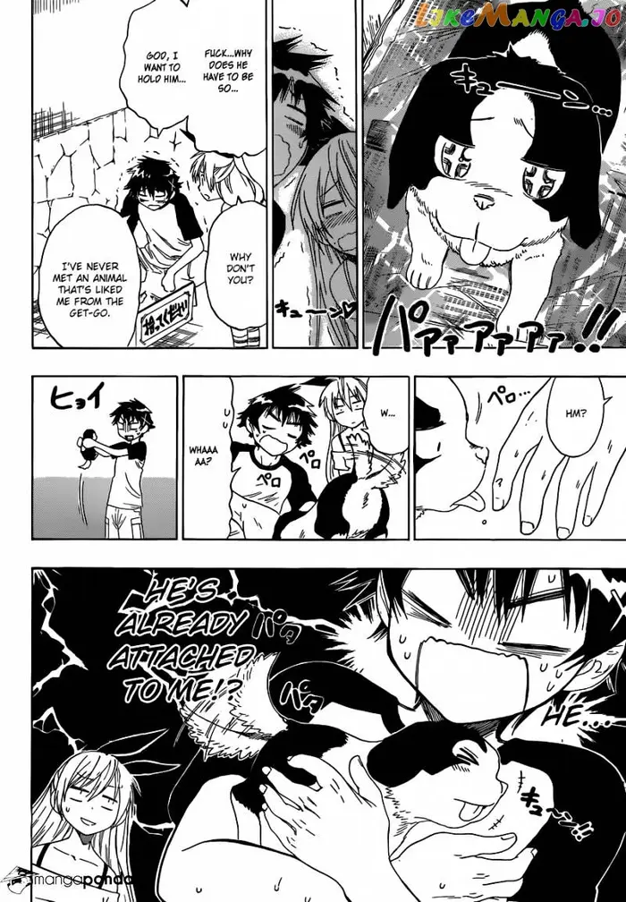 Nisekoi Chapter 41 image 05_optimized